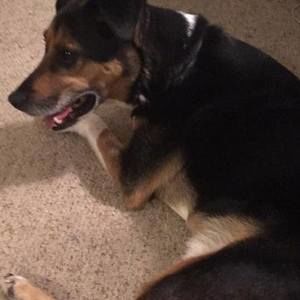 Meet your Posher, John